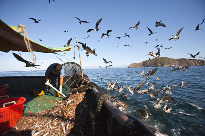 pesca-de-arrastre