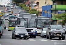 CTP retira permisos a compañías autobuseras ligadas a Orlando Ramírez