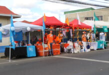 Arranca Tregua Electoral Navideña ¿Cómo funciona? Elecciones Voto Votaciones
