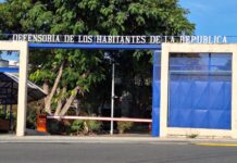 Defensoría de los Habitantes exige acciones urgentes del Estado ante aumento de violencia contra las mujeres