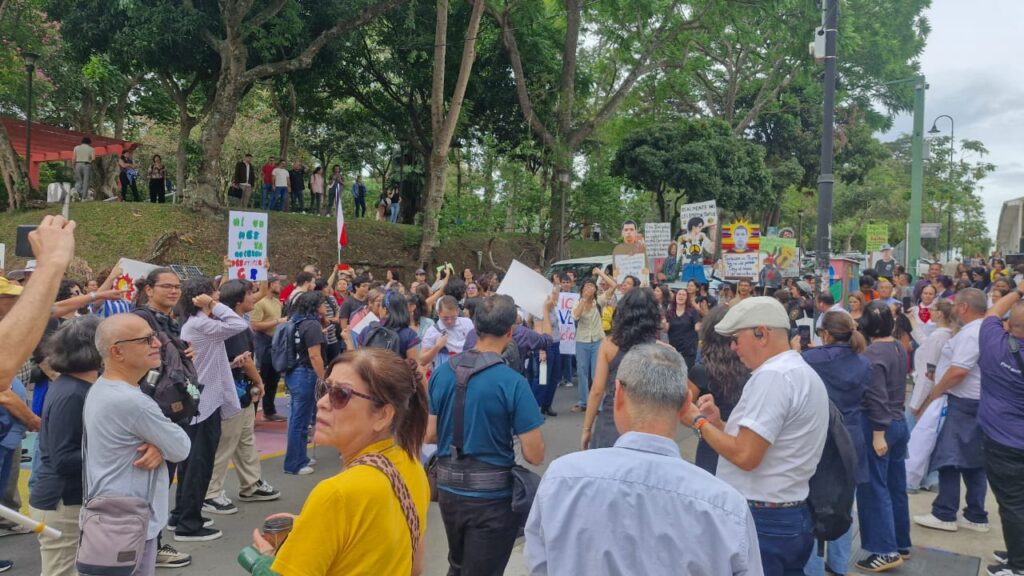 Sindicatos Armonización Eléctrica ICE Manifestación Albino Vargas