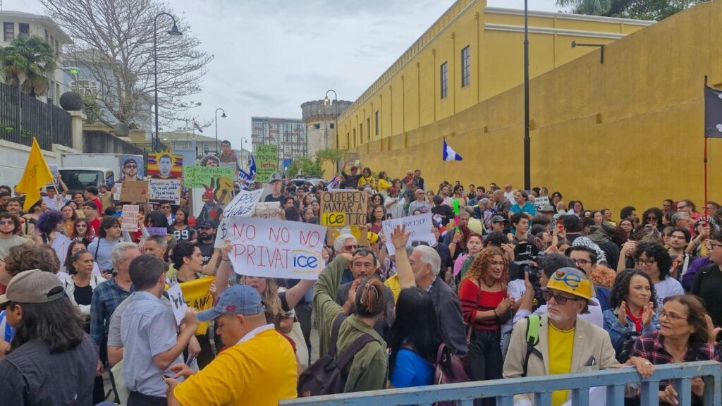 Sindicatos Armonización Eléctrica ICE Manifestación Albino Vargas